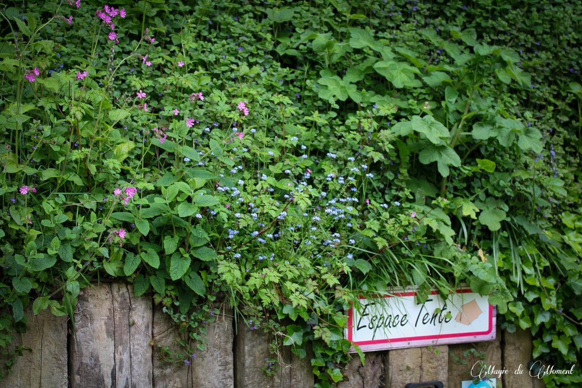 Camping La Sabliere Saint-Jans-Cappel 外观 照片
