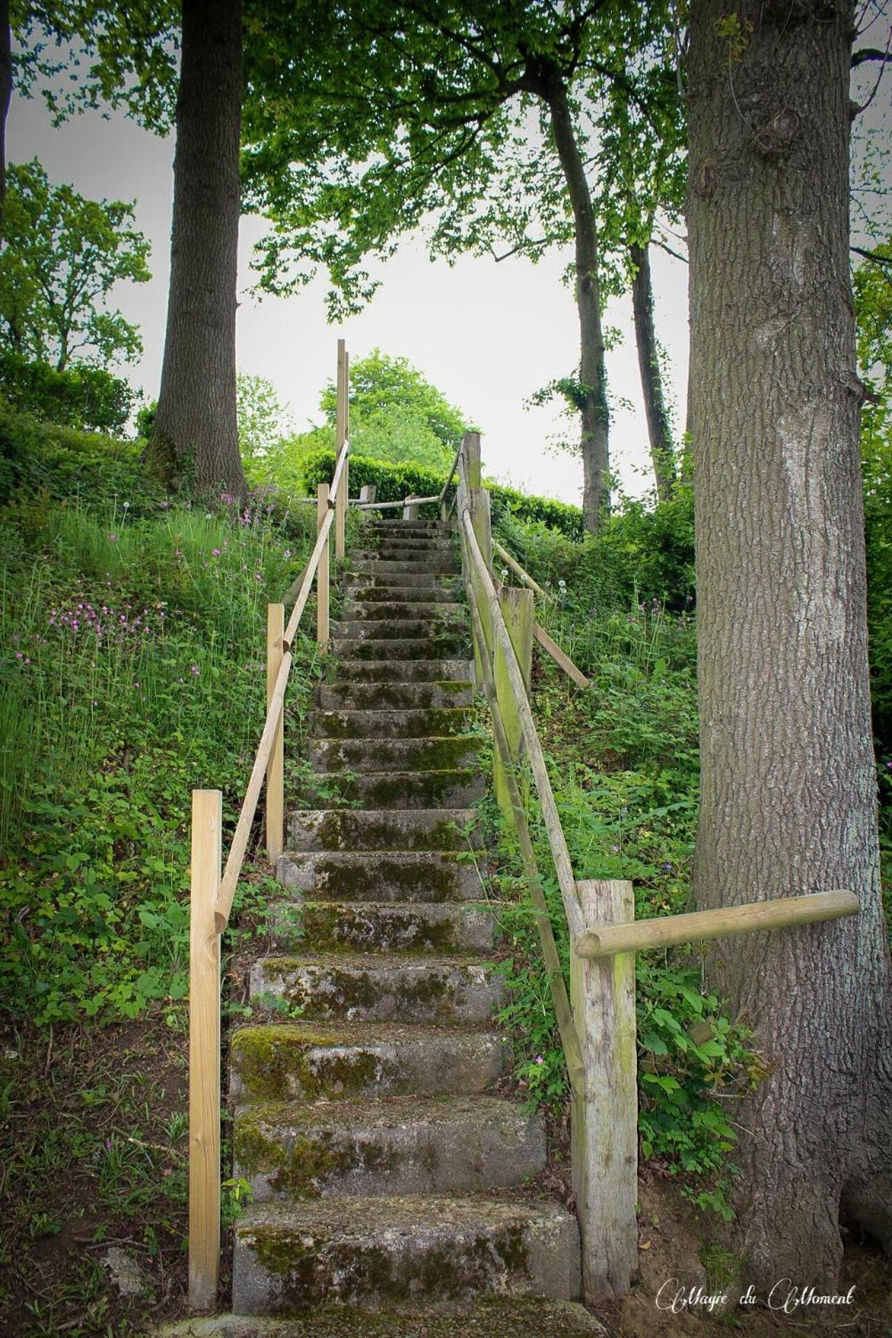 Camping La Sabliere Saint-Jans-Cappel 外观 照片
