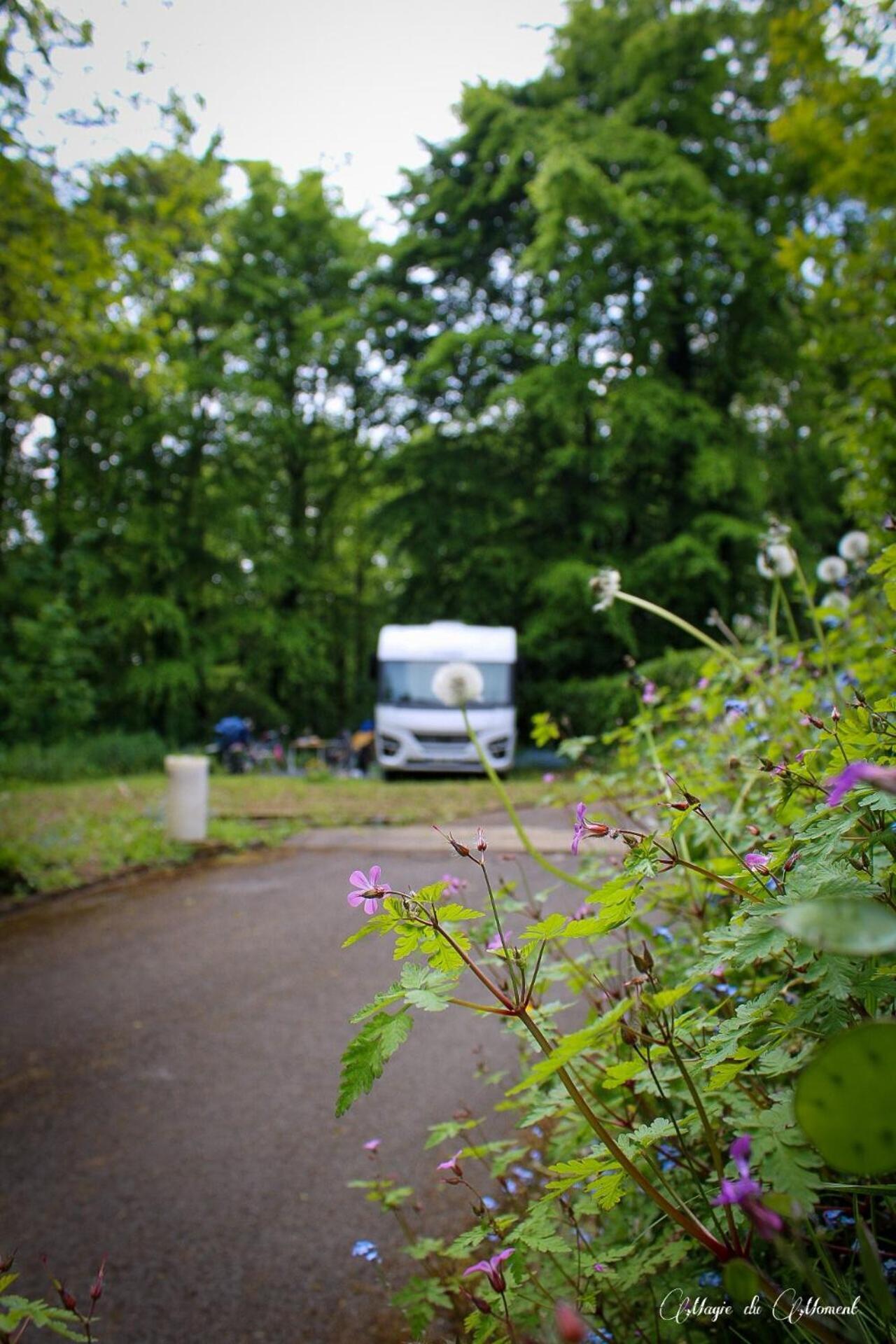 Camping La Sabliere Saint-Jans-Cappel 外观 照片